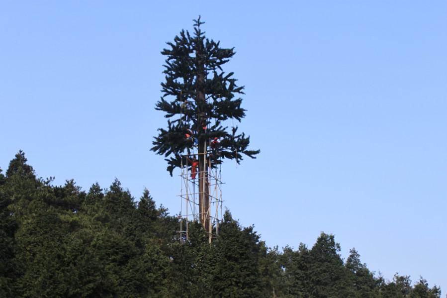 Camuflada pólo elétrico Torre de comunicação por GSM Palm Tower árvore