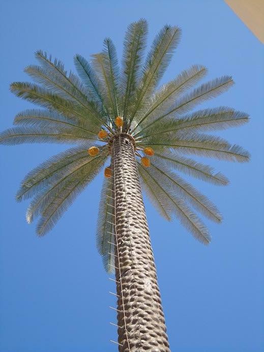 palma de acero monopolo antena artificial comunicación camuflada la torre del árbol