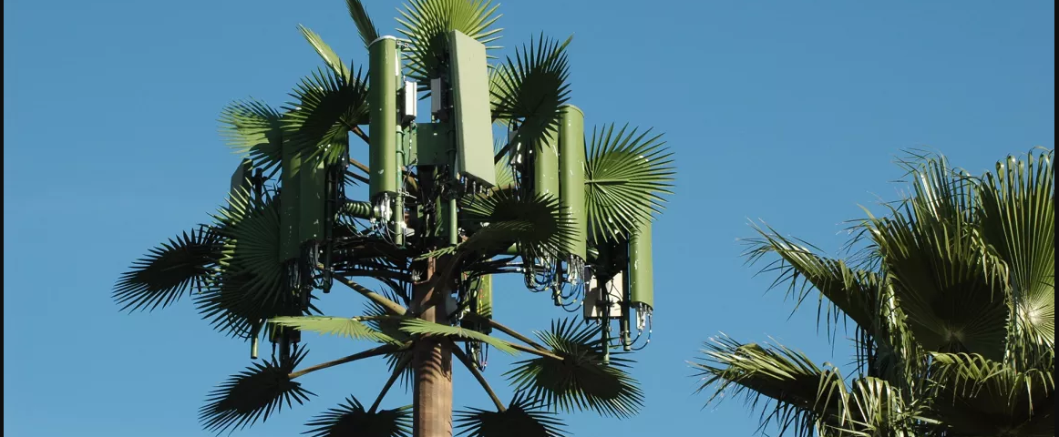 GSM Camouflage Antenna toring wifi Monopool Tower Bionic Tower