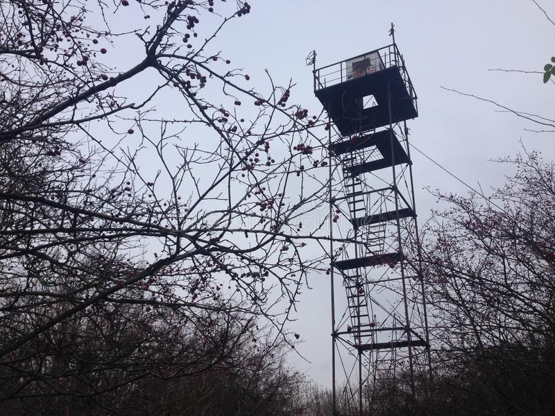 Kafes köşeli çelik platform Dağ ormanı görünümü yangın gözlem gözetleme kulesi