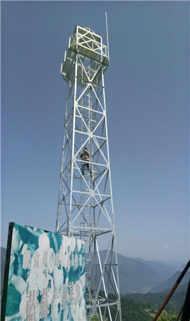 Forest Fire Watch Tower