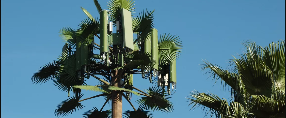 La tour bionique consiste à coordonner la tour de communication avec le milieu naturel environnant