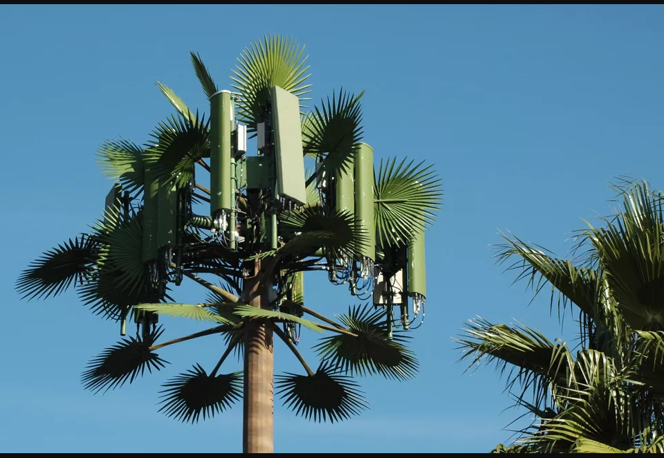 Torre de antena de camuflagem gsm wifi torre monopolo torre biônica