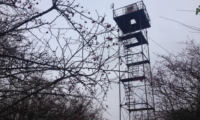 Platform keluli sudut kekisi Menara pemerhati kebakaran pandangan hutan gunung